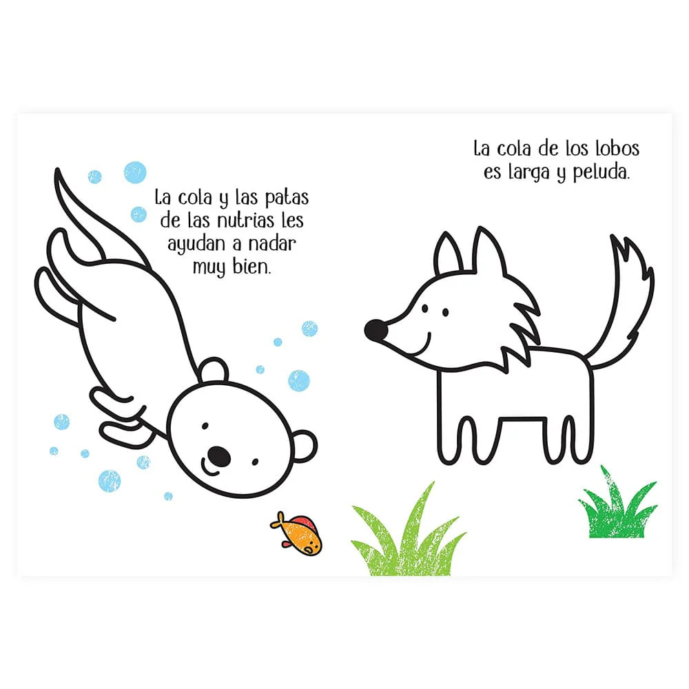 Imagen del producto 2